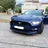 tom_sk37