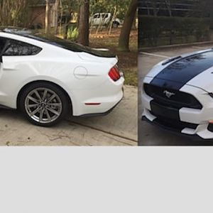 Black Stripe