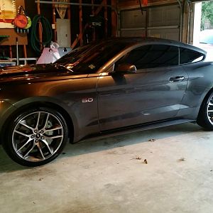The EB Vert