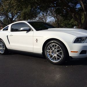 My Mustangs