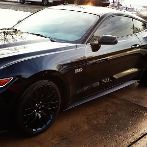 My black beauty