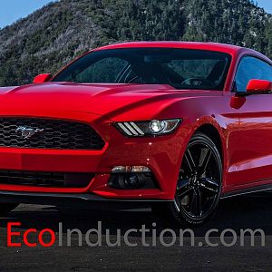 Stuffs