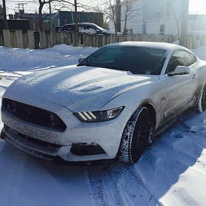Winter Edition