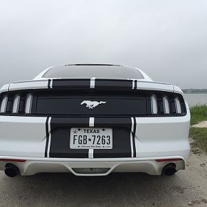 MUSTANG