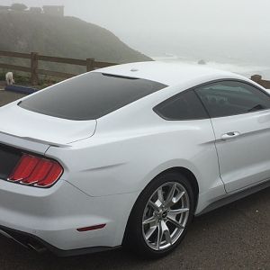 Mustang