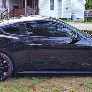 Stang