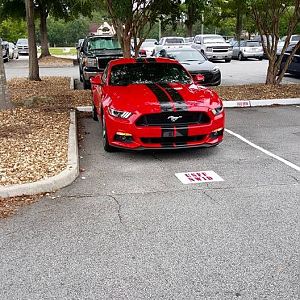 2015 Mustang GT