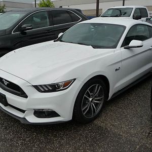 Mustang Forum