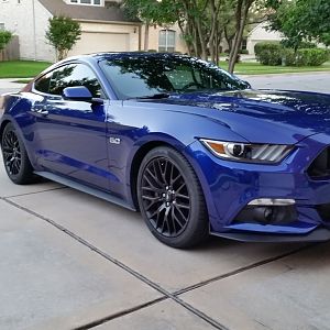 My DIB Mustang
