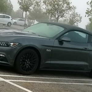 5.0