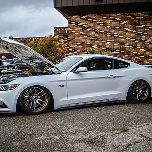 2015 Oxford White GT w/PP