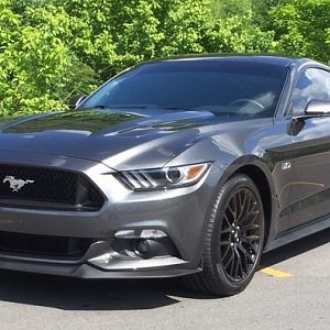2015 Mustang GT PP
