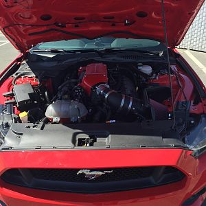 2015 Ford Mustang GT