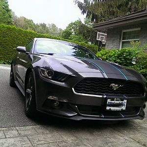 2015 mustang v6