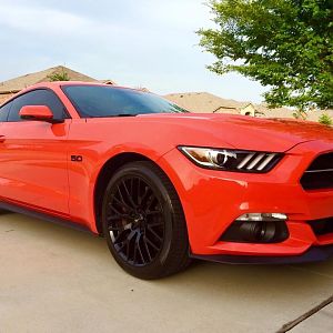 My 2015 Mustang GT