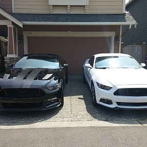 Met a new friend today