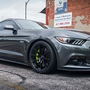 2015 GT Prem PP Magnetic