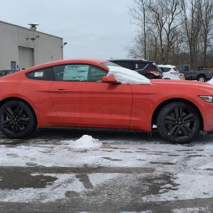 2015 ecoboost PP