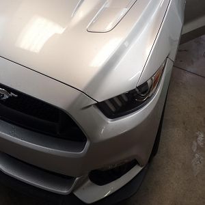 Mikes Ingot Sliver Mustang