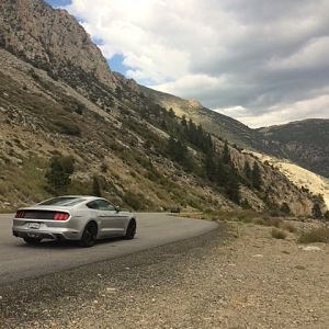 Yosemite Park 2015