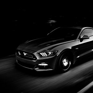 Dale Cutlers Competition Orange 2015 Mustang