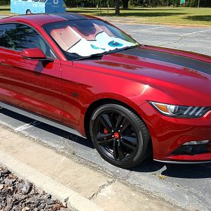 2015 Mustang