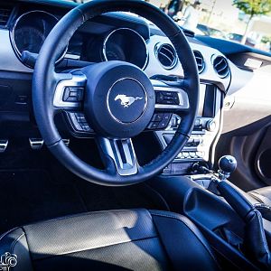 15 gt