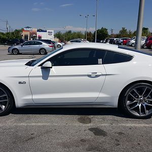 2015 Mustang GT