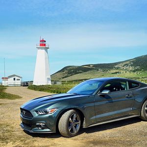 2015 ecoboost guard
