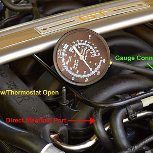GT350 Intake