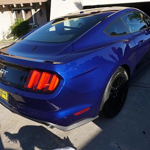 my stangs