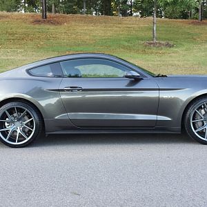 15 Mustang GT MG