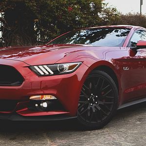 NitroJames RR PP GT
