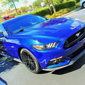 16 GT