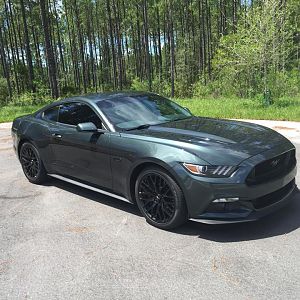 2015 Mustang GT (Guard)