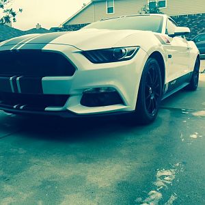 15 Gt