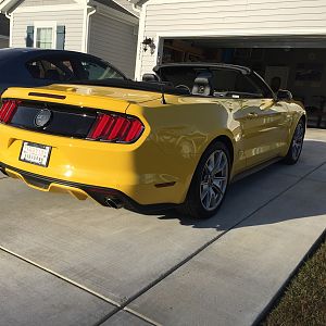 New Mustang