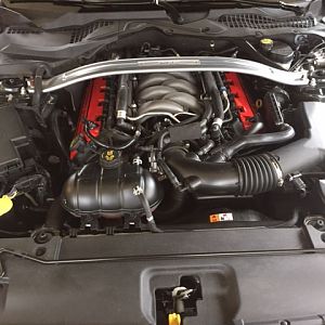 2015 Mustang GT Premium 50 YR Anniversary Package