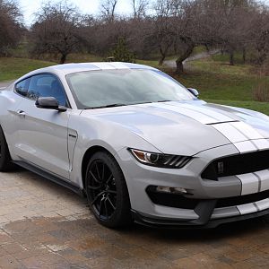 NEW GT350 IN NEIGHBORHOOD
