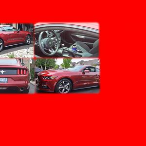 My Mustang