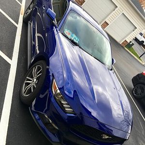 My Mustang