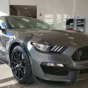 2016 GT350