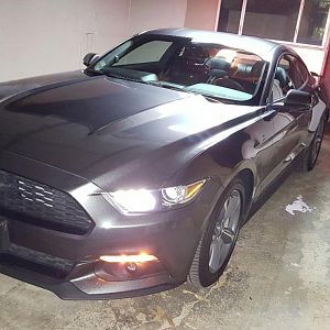 Ecostang