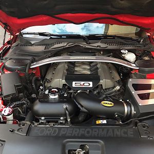 Race red GT w/PP