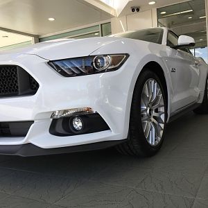 Oxford White Mustang