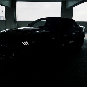 2016 ROUSH 2. BLACK WIDOW