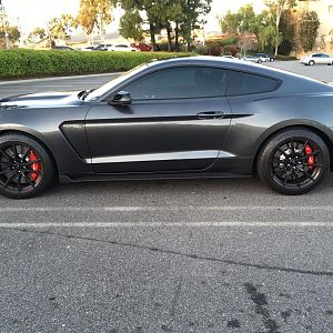 GT 350