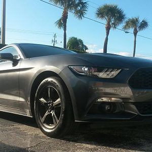 My EcoBoost