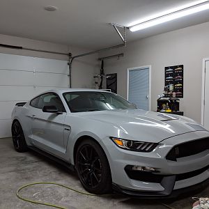 GT350