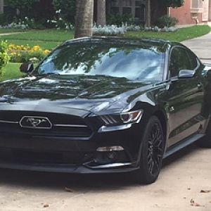Black 2015 GT PP